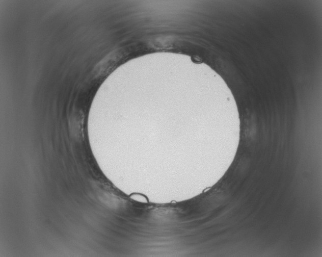 X0000076400332200611031728