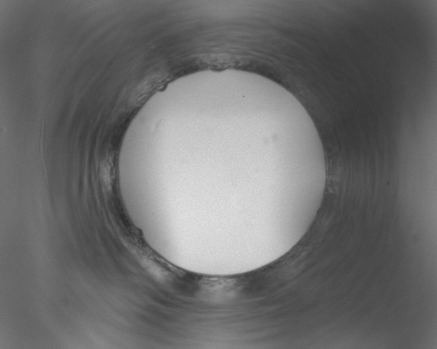 X0000076400334200611031728