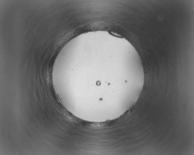 X0000076400335200611031728