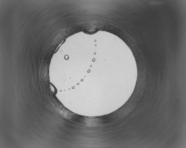 X0000076400336200611031728