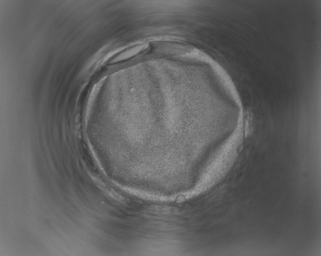 X0000076400339200611031727