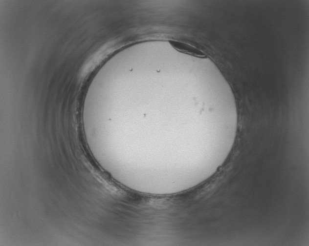 X0000076400341200611031727