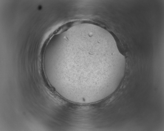 X0000076400342200611031727