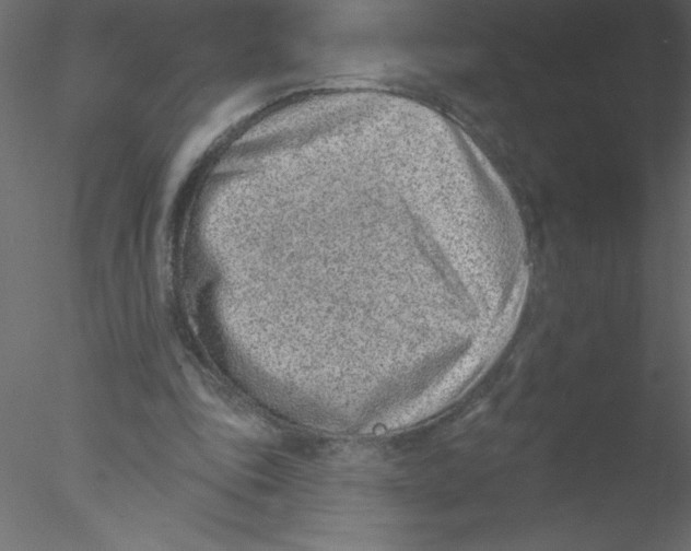 X0000076400343200611031727