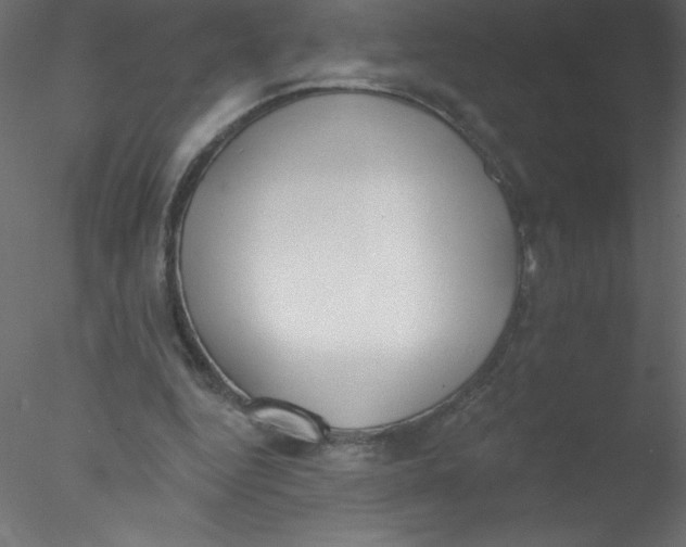 X0000076400344200611031727