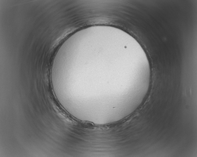 X0000076400345200611031727