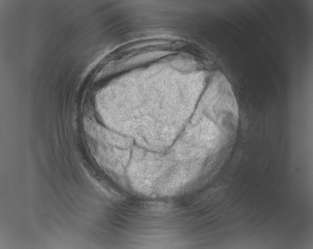 X0000076400347200611031727