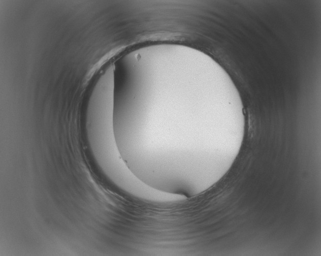 X0000076400348200611031727