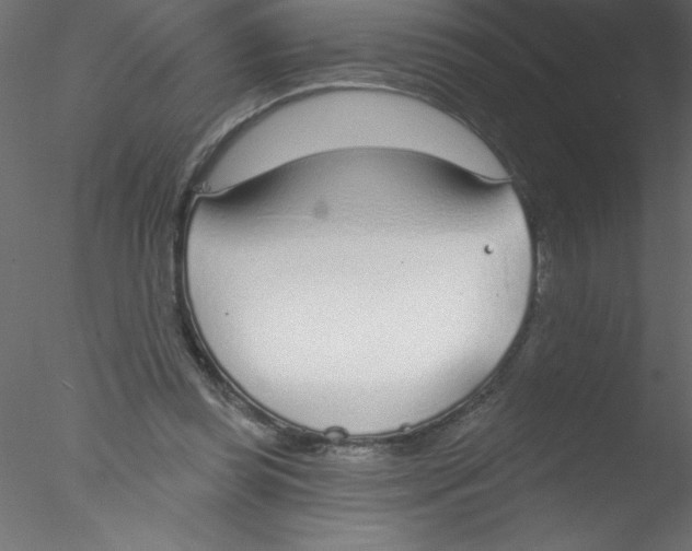 X0000076400349200611031727