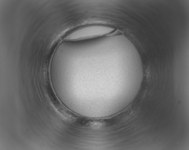 X0000076400352200611031728