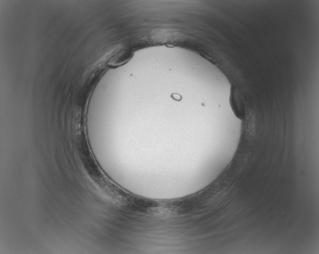 X0000076400356200611031728