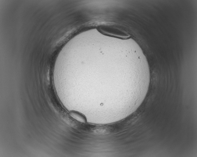 X0000076400358200611031728