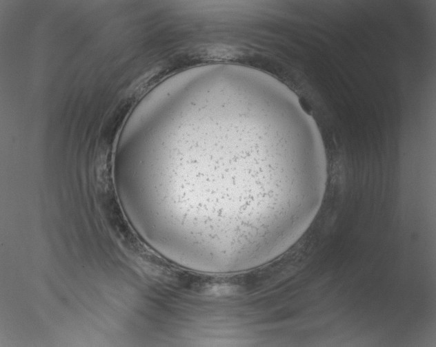 X0000076400360200611031728