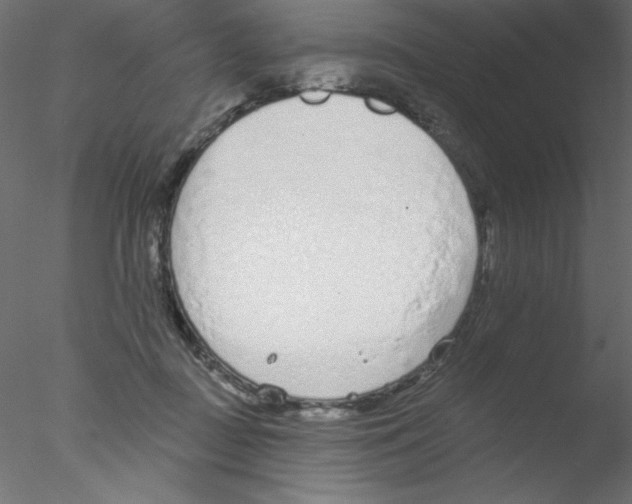 X0000076400363200611031728