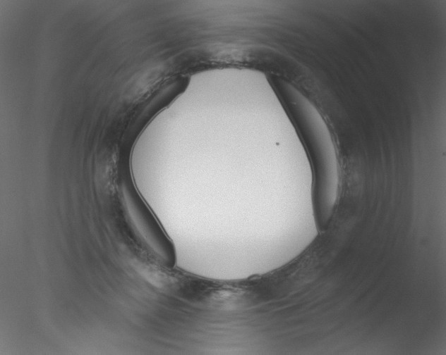 X0000076400364200611031728