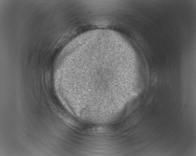 X0000076400365200611031728