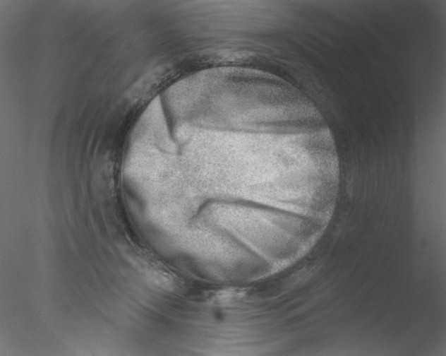 X0000076400366200611031728