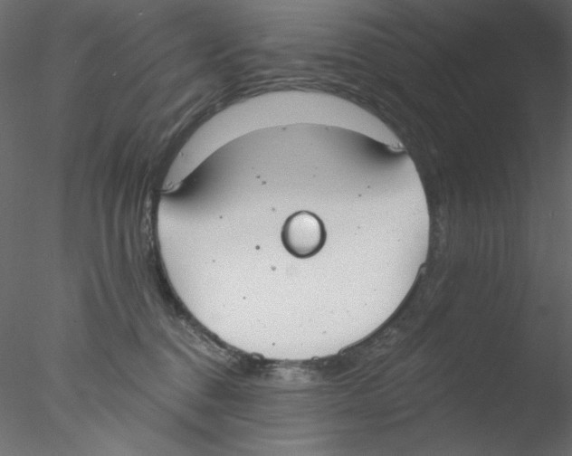 X0000076400376200611031728