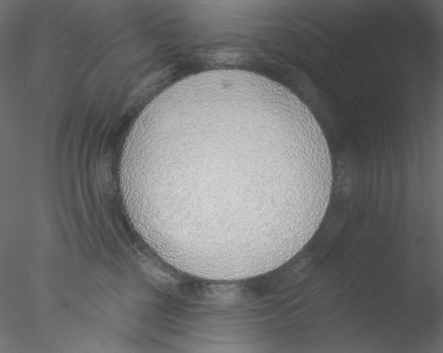 X0000076400377200611031728