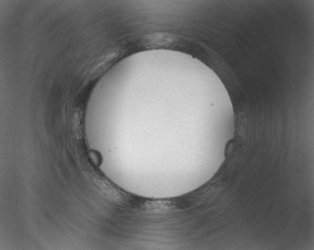 X0000076400378200611031728