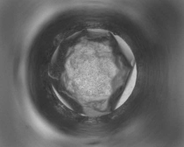 X0000076400383200611031728