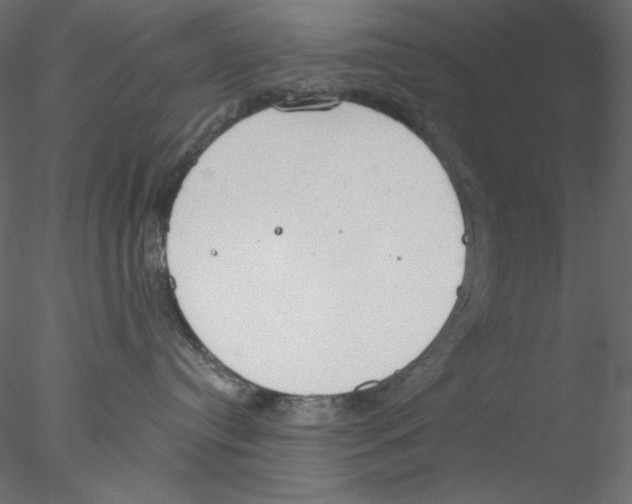 X0000076400384200611031728