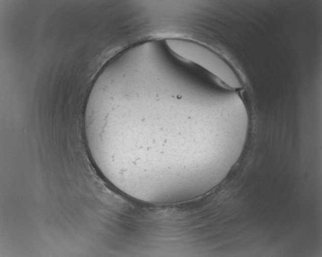 X0000076400385200611031727