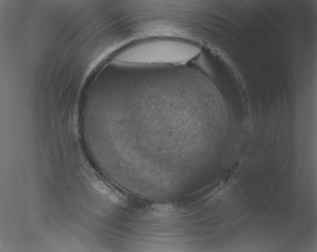 X0000076400391200611031727