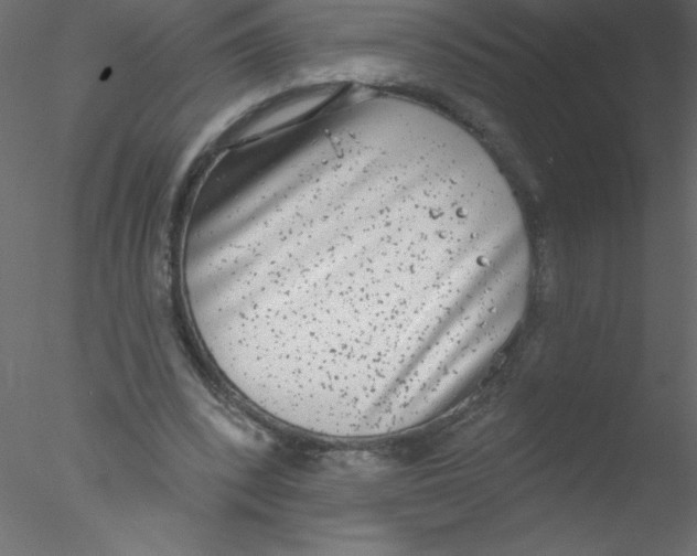 X0000076400392200611031727