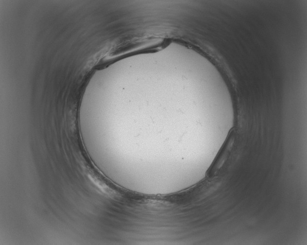 X0000076400393200611031727