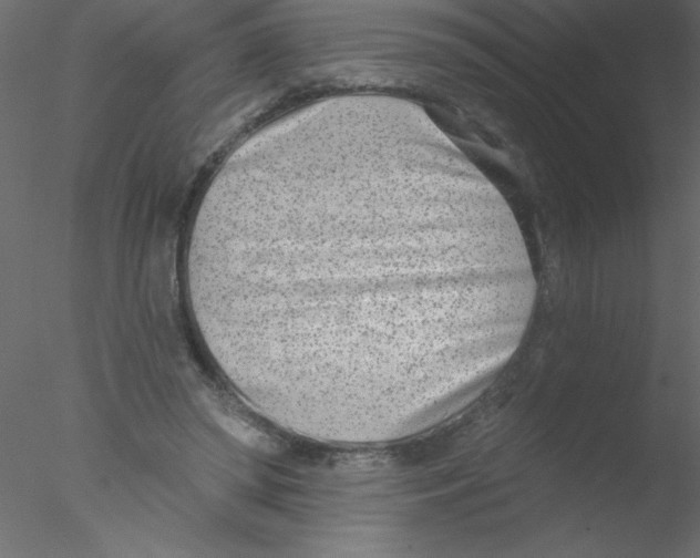 X0000076400398200611031727