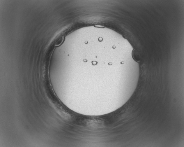 X0000076400400200611031727