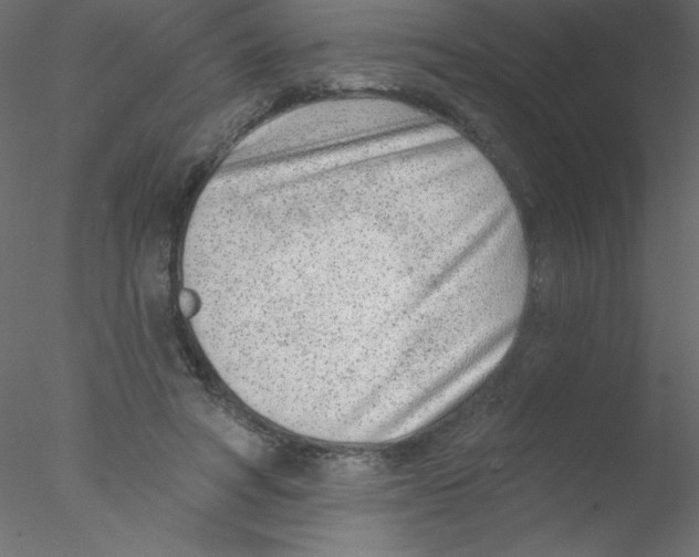 X0000076400402200611031727