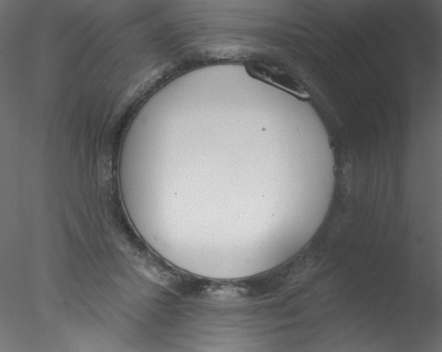 X0000076400407200611031727