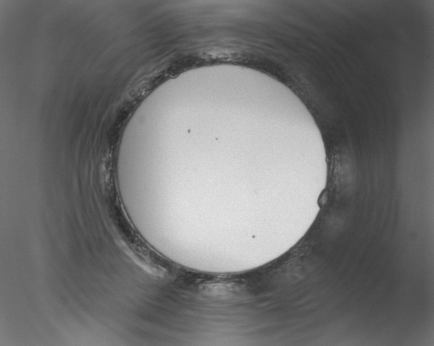 X0000076400408200611031727