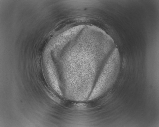 X0000076400409200611031727