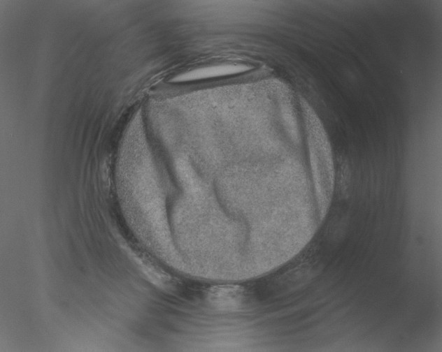 X0000076400410200611031727