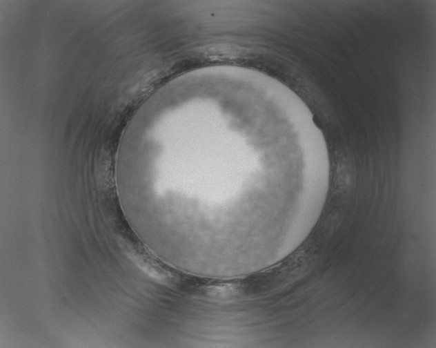 X0000076400411200611031727