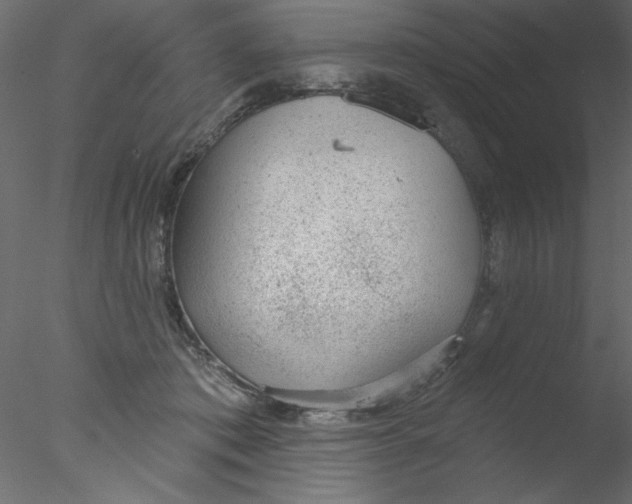 X0000076400413200611031727