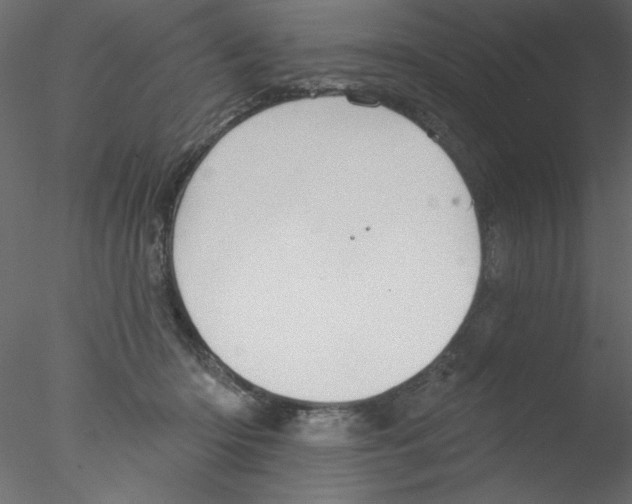 X0000076400414200611031727