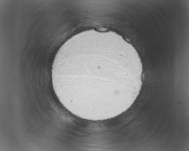 X0000076400415200611031727