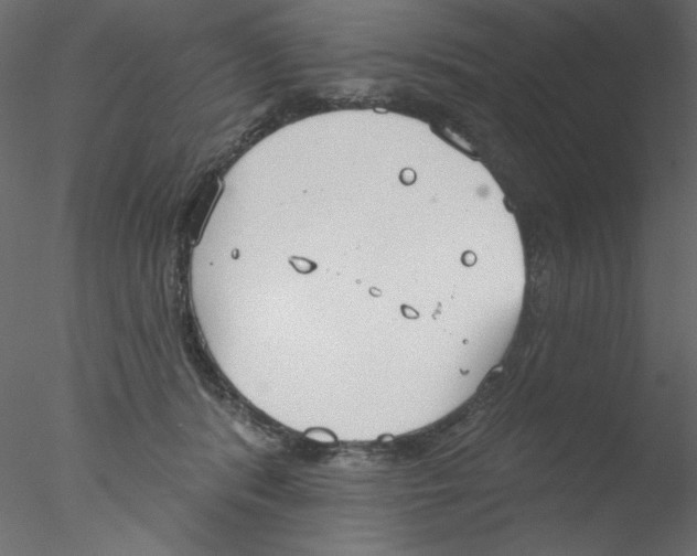 X0000076400416200611031727