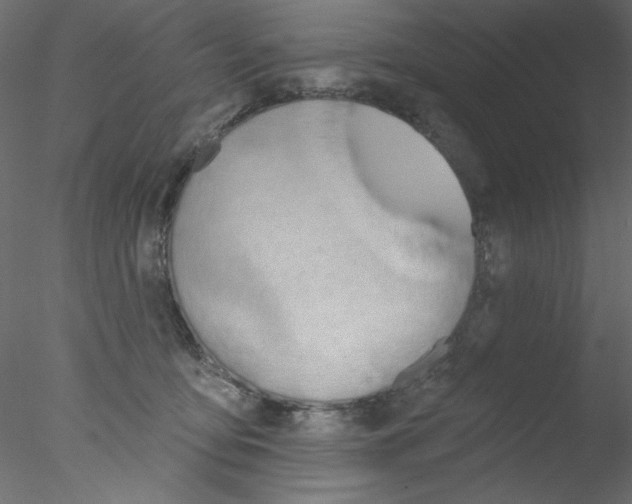 X0000076400419200611031727