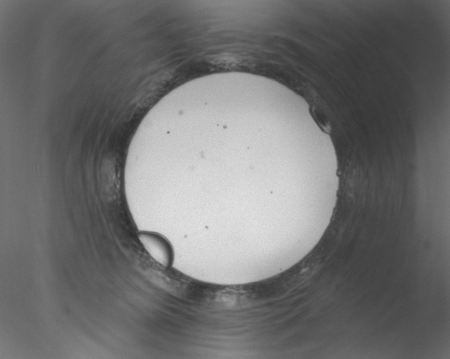 X0000076400420200611031727