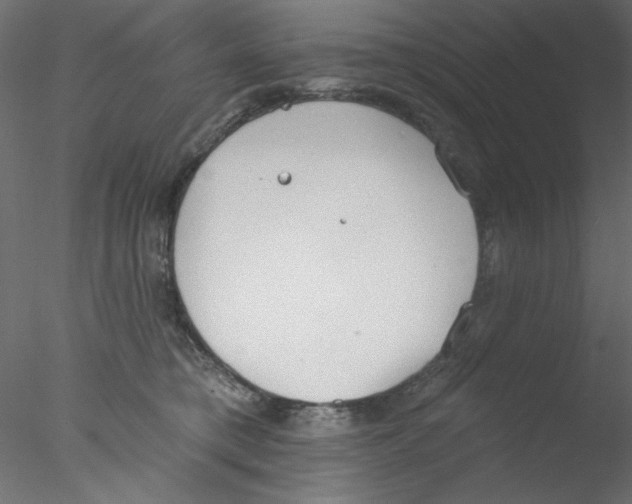 X0000076400421200611031727