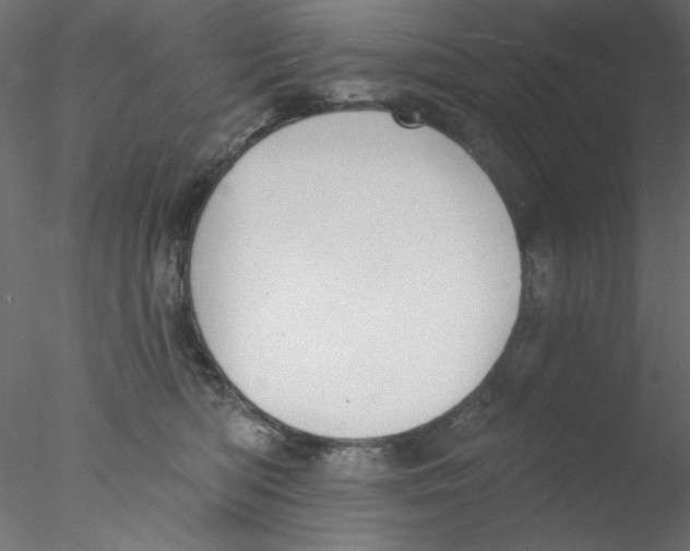 X0000076400422200611031727