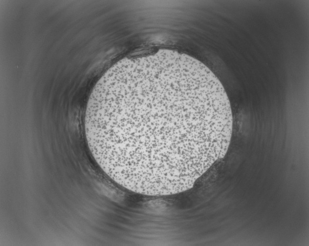 X0000076400423200611031727