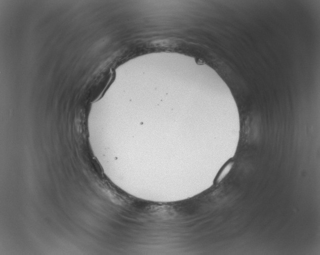 X0000076400424200611031727