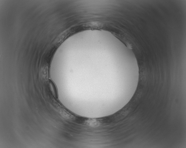 X0000076400425200611031727