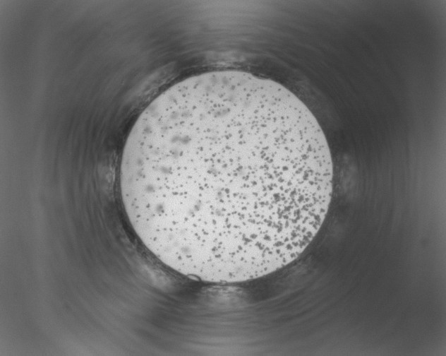 X0000076400427200611031727